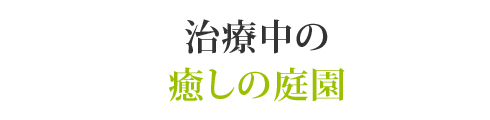 治療中の癒しの庭園