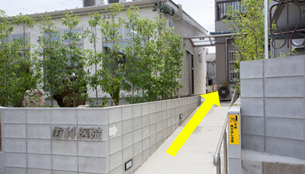 診療台から見える庭